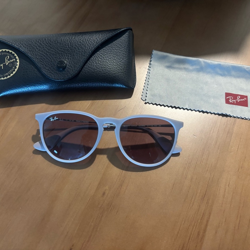 Ray-Ban Erika Sunglasses